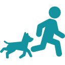 icon of owner exercising dog